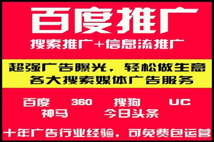 案例研究：百度竞价广告投放效果
